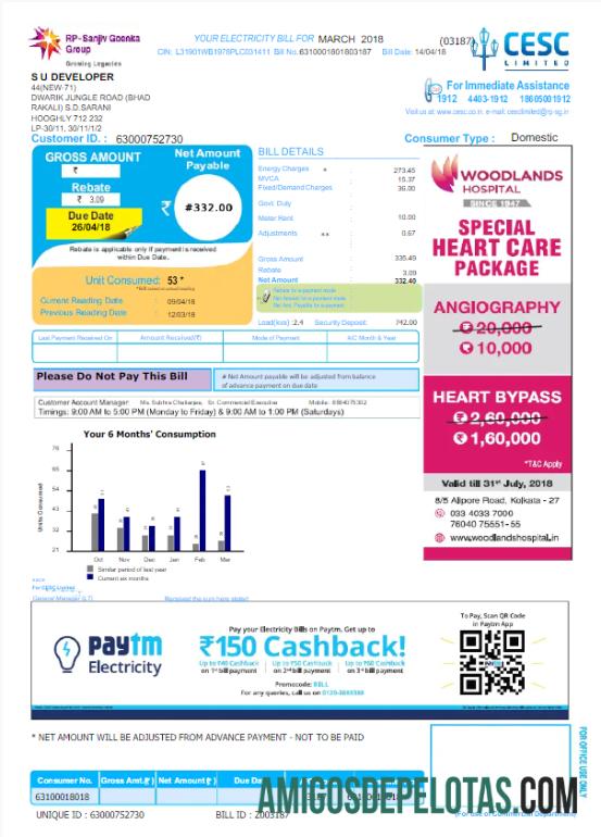 imprimível ÍNDIA CESC LIMITED Modelo Word e PDF de fatura de serviços públicos